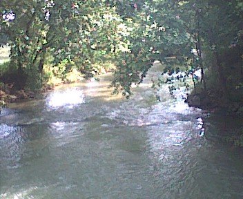 photo11.jpg