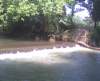 photo7_small.jpg