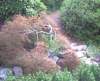 bhamgardens16_small.jpg
