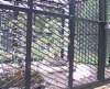 bhamgardens17_small.jpg