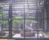 bhamgardens18_small.jpg