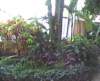 bhamgardens9_small.jpg