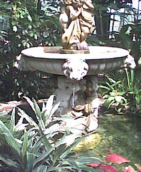 photo.jpg