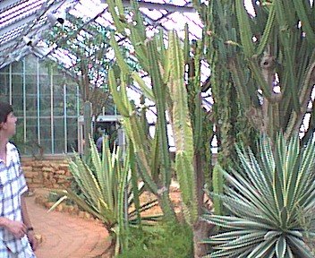 photo2.jpg