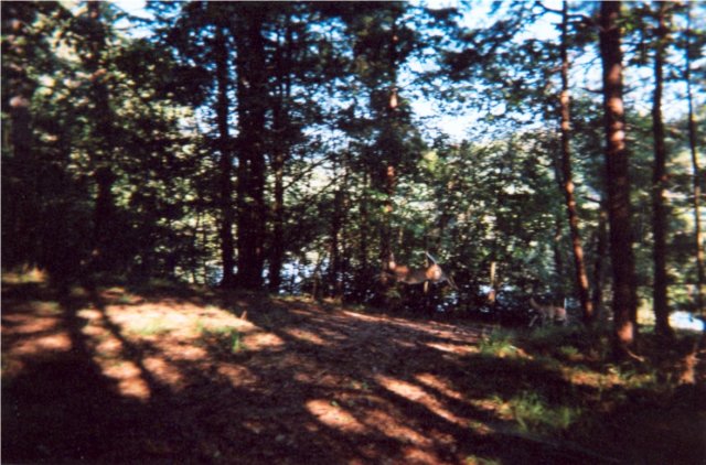 sep2003trip33.jpg