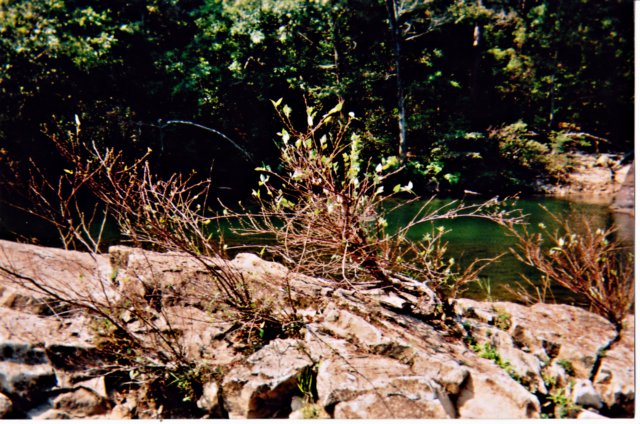 photo18.jpg