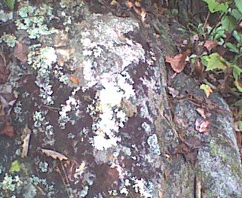 photo19.jpg