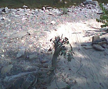 photo25.jpg