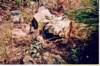 photo27_small.jpg