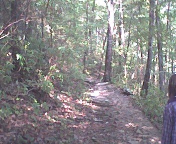 photo5.jpg