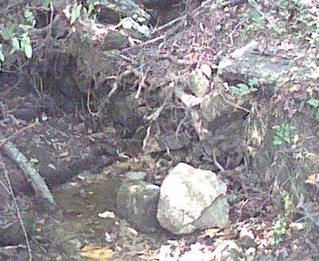 photo7.jpg