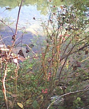 photo9.jpg