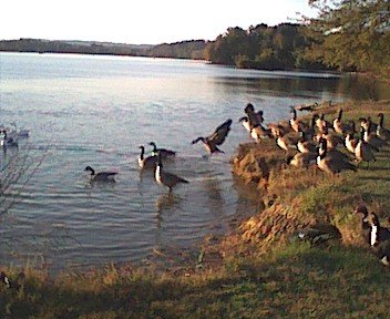 photo19.jpg