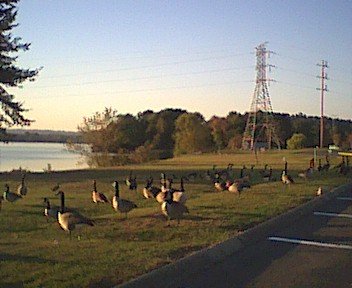 photo2.jpg