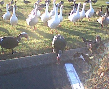photo9.jpg