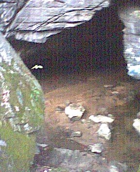 photo13.jpg
