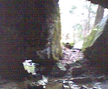 photo7.jpg