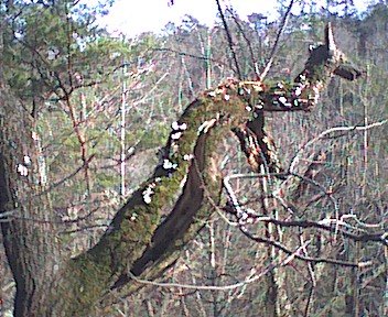 photo.jpg