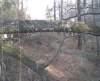 photo10_small.jpg