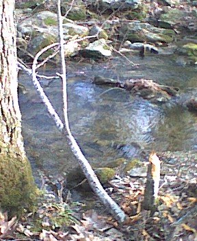 photo11.jpg
