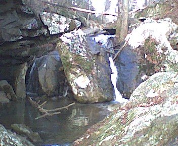 photo14.jpg