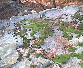 photo4.jpg