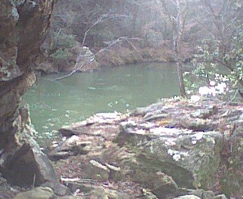 photo9.jpg