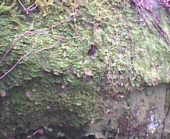 photo20.jpg