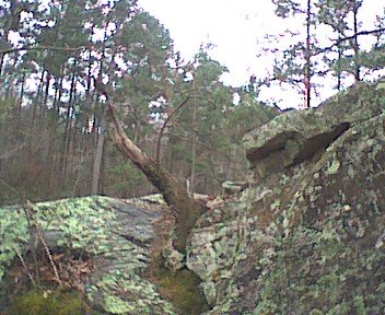 photo8.jpg