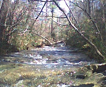 photo10.jpg