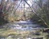 photo10_small.jpg