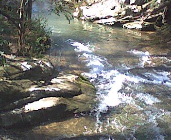photo11.jpg