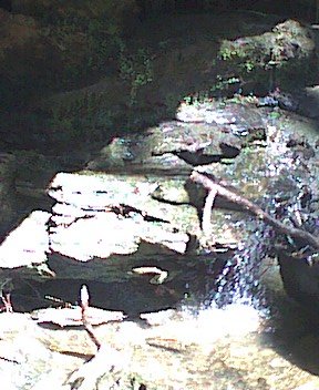 photo13.jpg