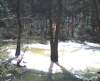 photo14_small.jpg