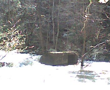 photo16.jpg