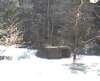 photo16_small.jpg