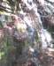 photo18_small.jpg