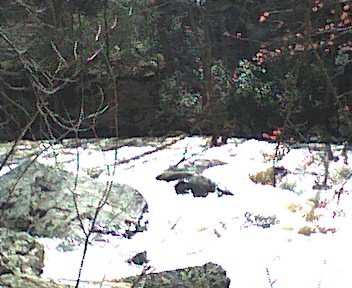 photo19.jpg