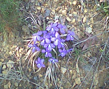 photo27.jpg