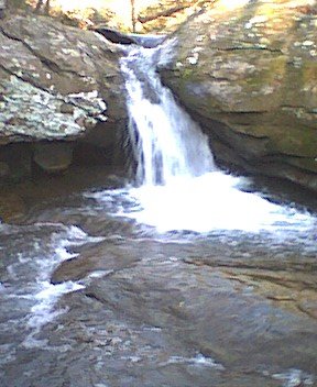 photo29.jpg