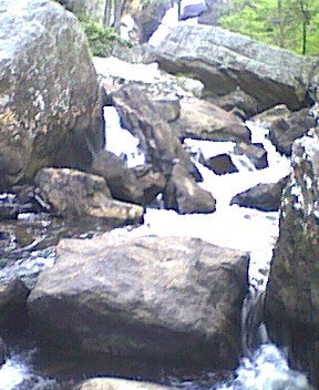 yellowcreek5.jpg