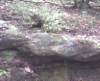 desotopark12_small.jpg