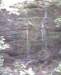 desotopark19_small.jpg