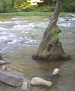 blountbridges14.jpg