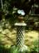 dsci0028_small.jpg