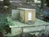 dsci0038_small.jpg