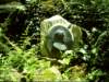 dsci0098_small.jpg