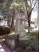 dsci0116_small.jpg