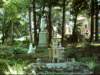 dsci0121_small.jpg