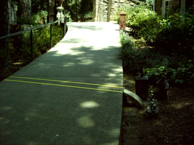 dsci0137.jpg